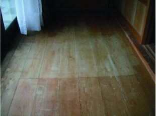 全体的な日焼け