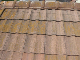 セメント瓦の劣化